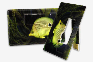 Card-slim Style Customized USB Flash Drive