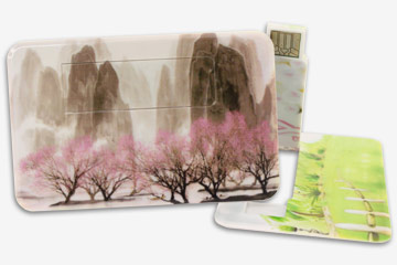 Card-xt Style Customized USB Flash Drive