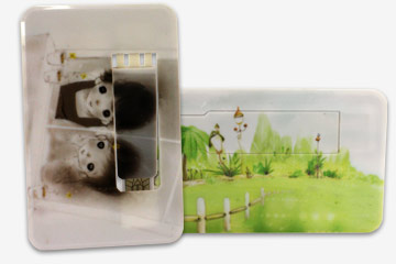 card-xt Style