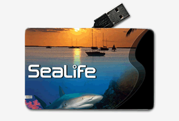 card Style Image 5