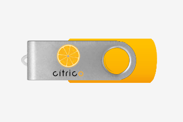 Swm Style Customized USB Flash Drive